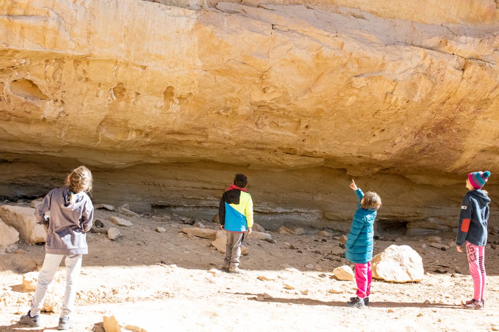 Jeep Tours Colorado by Native Jeeps Kids