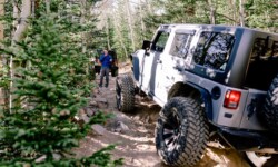 Jeep Tour Colorado Native Jeeps Cascade Creek spotting