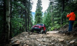 Native Jeeps Red Elephant guiding