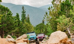 Jeep Tours Colorado by Native Jeeps Bumpers